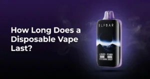How Long Does a Disposable Vape Last?
